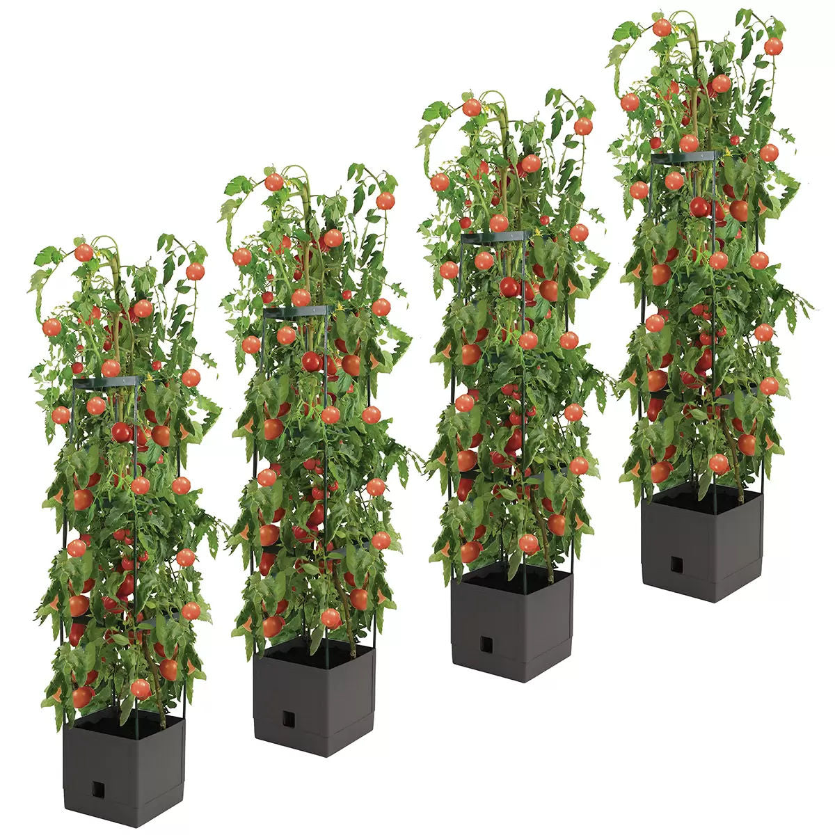 Tomato Tower With 3 Tier Frame 4 x Pack