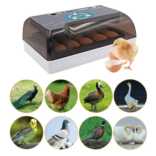12 Egg Incubator Automatic Hatching Digital LED for Chickens & Ducks