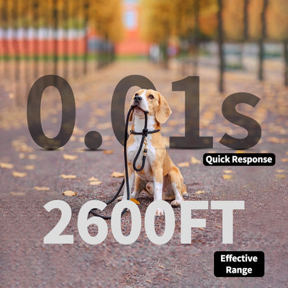 Rechargeable Dog Training Collar with Remote - 2600ft Range, 3 Modes(black)